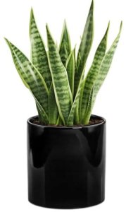 Osłonka ceramiczna czarna walec 23 cm 1