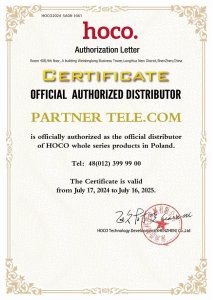 Słuchawki bezprzewodowe Hoco W35 (srebrny) 5