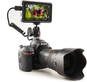 Atomos Nindzė V 2