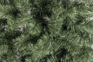 Dirbt. eglutė Lena 1.80m sonic 2