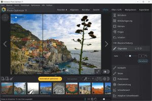 Epson ASHAMPOO Photo Optimizer 11 2