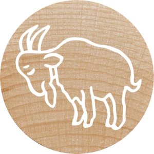 COLOP WOODIES Stempel-Set "farm Animation" retail 6