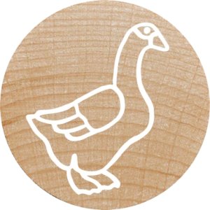 COLOP WOODIES Stempel-Set "farm Animation" retail 7