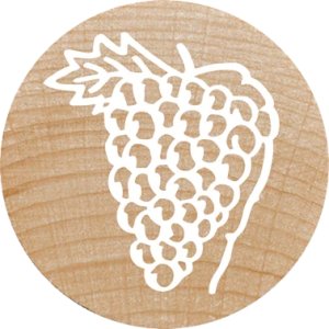 COLOP WOODIES Stempel-Set "Mix" retail 11