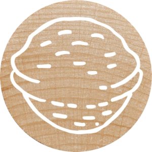 COLOP WOODIES Stempel-Set "Mix" retail 4