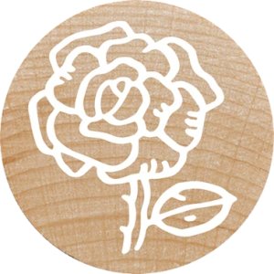 COLOP WOODIES Stempel-Set "Mix" retail 5