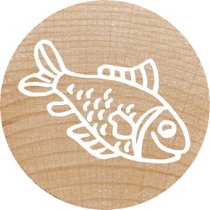 COLOP WOODIES Stempel-Set "exotic Animation" retail 13