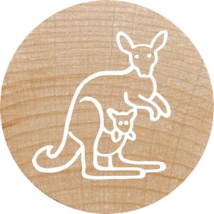 COLOP WOODIES Stempel-Set "exotic Animation" retail 14