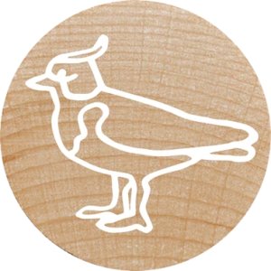 COLOP WOODIES Stempel-Set "exotic Animation" retail 5