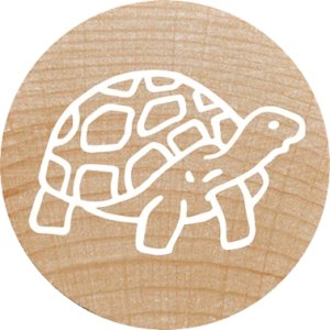 COLOP WOODIES Stempel-Set "exotic Animation" retail 9