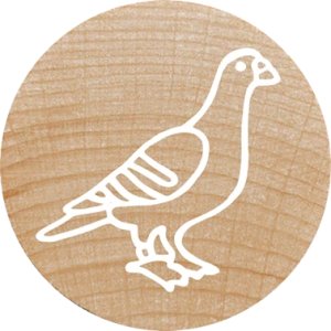 COLOP WOODIES Stempel-Set "exotic Animation" retail 10