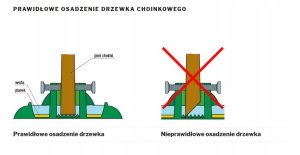 Stojak choinkowy Okrągły 24W na choinkę do 2,5m 3