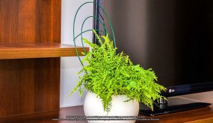 10x Podpora doniczkowa ELGarden Podpórka kwiatowa 4