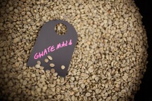 Kawa ziarnista 1kg Blu Marina z palarni Blue Drop 5