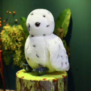 Pluszowa Sowa Ptak Pluszak Maskotka Przytulanka Biała 23cm 4
