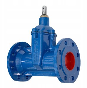 Zasuwa kołnierzowa miękkouszczelniona "długa" F5 DN50 żeliwo sferoidalne GJS, bez kółka- rozmiar kółka: kwadrat 14 2