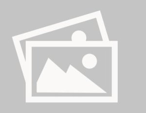 Siedzisko natryskowe ERGOPLUS, unoszone, INOX 2