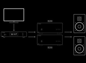 Końcówka mocy mono Topping B200 Kolor: Czarny 12