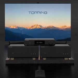 Końcówka mocy mono Topping B200 Kolor: Czarny 9