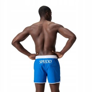 Męskie Szorty LOGO VOLLEY 16" 2