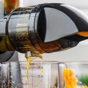 SOKOWIRÓWKA WYCISKARKA WOLNOOBROTOWA KLAUSBERG KB-7870 15