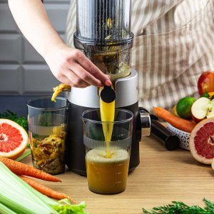 SOKOWIRÓWKA WYCISKARKA WOLNOOBROTOWA PIONOWA KLAUSBERG KB-7871 15