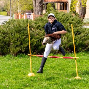 Froster Hobby Horse Skippi A3 - Karmelowy - Beżowy - kantar i wodze w zestawie 17