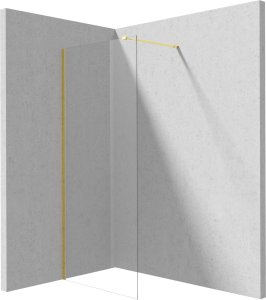 Deante Ścianka prysznicowa walk-in 70 cm 1