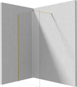 Deante Ścianka prysznicowa walk-in 70 cm 1