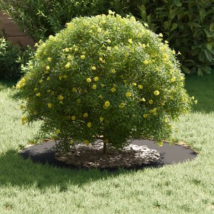 vidaXL Donice plastikowe Czarny Plastik Duży Trwały Donica plastikowa 3