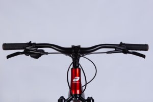 ZEPHYR 1.0 DD CS 29" 21" Red/Silver 3