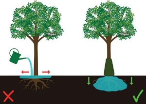 TREE WATERING BAG 85l 3