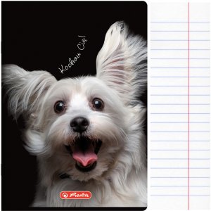 Zeszyt A5 60 kartek w linie z marginesem 70g Crazy Animal HERLITZ 1