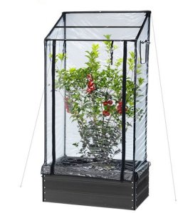 HORTUS Bed-drivhus høj, 87 x 47 x 110/130 cm (211-150) 1