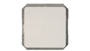 WHITE LX200 SWITCH P110-010-12 V 1