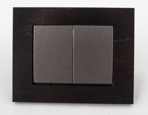 ANT XP500 SWITCH P510-020-12 V 11