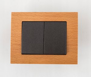 ANT XP500 SWITCH P510-020-12 V 2