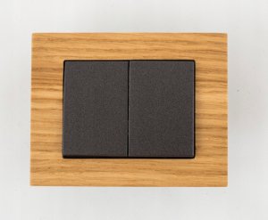 ANT XP500 SWITCH P510-020-12 V 6