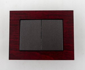 ANT XP500 SWITCH P510-020-12 V 10