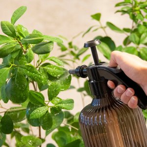 Esschert Design BOTTLE PLANT MISTER ASS. 2.2L 2