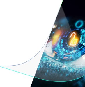 All-Safe Privacy - AIO Phone Dry & Wet Fitting v2.0 5 pcs 6