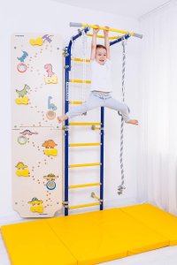 Drabinka gimnastyczna Next 1 pomarańczowa + ścianka Dino 225 cm + huśtawka 14