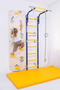 Drabinka gimnastyczna Next 1 pomarańczowa + ścianka Dino 225 cm + huśtawka 3