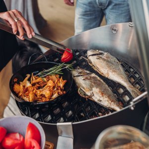 HOFATS 010101 Cone grilis 3