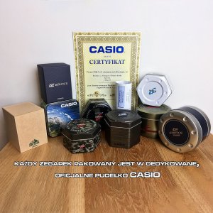Zegarek damski Casio AQ-230EGG-3AEF szary 2