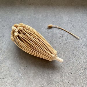 Rivsalt™ Refill TOOTHPICK 2