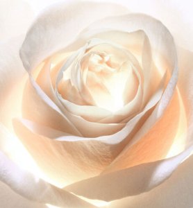 Christian Dior, Prestige L’Oleo-Essence Lumiere, Brightening, Peeling Lotion, 150 ml For Women 2