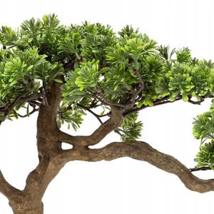 Atmosphera Sztuczne drzewko bonsai POLIN, wys. 60 cm 2