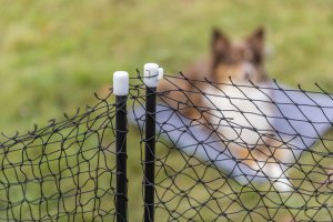 Trixie TRIXIE 39539, Safety net, Dog, Outdoor, Black, Iron, Plastic, Metal, Nylon, Powder coating 4