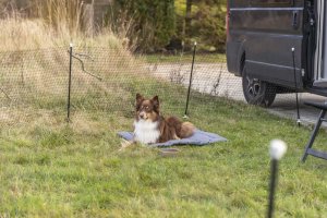 Trixie TRIXIE 39539, Safety net, Dog, Outdoor, Black, Iron, Plastic, Metal, Nylon, Powder coating 5